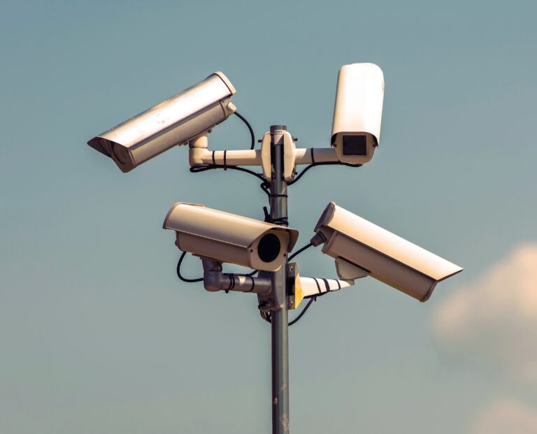 Surveillance (Avec l’aimable autorisation d’AlinStock)