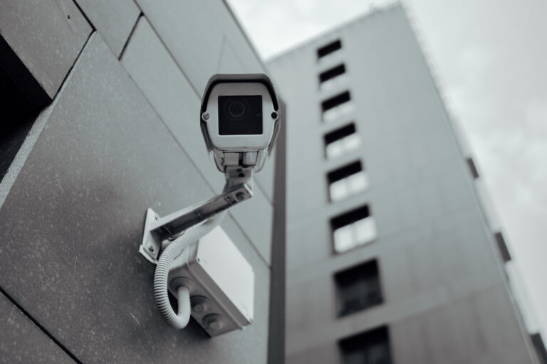 Surveillance (Avec l'aimable autorisation de drugoenebo)